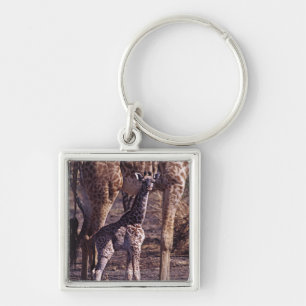 Baby giraffe and mother, Tanzania Key Ring