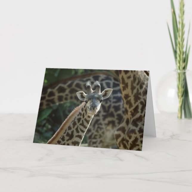 Baby Giraffe Card (Front)