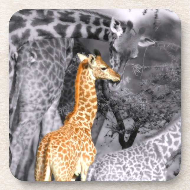 Baby Giraffe Coaster (Front)