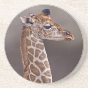 Baby Giraffe Coaster