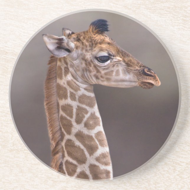 Baby Giraffe Coaster (Front)