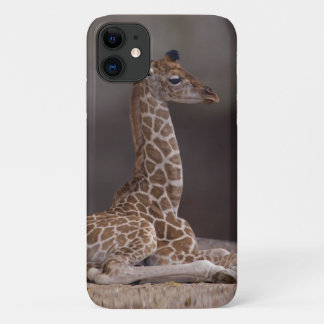 Baby Giraffe iPhone 11 Case
