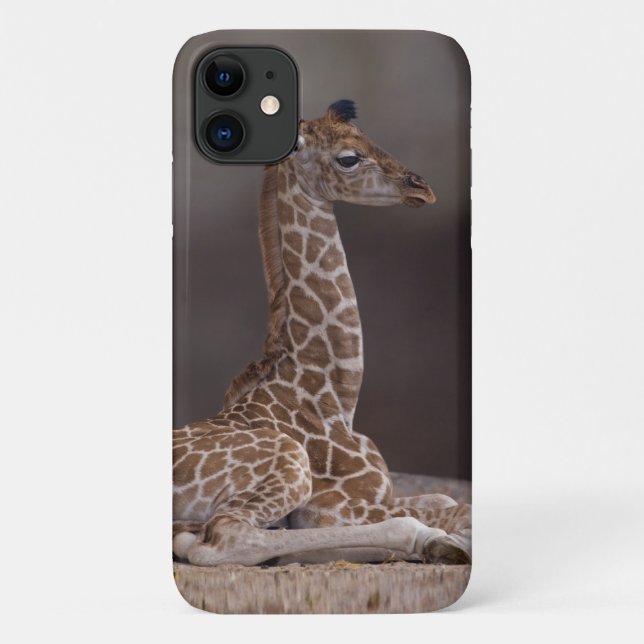 Baby Giraffe iPhone 11 Case (Back)