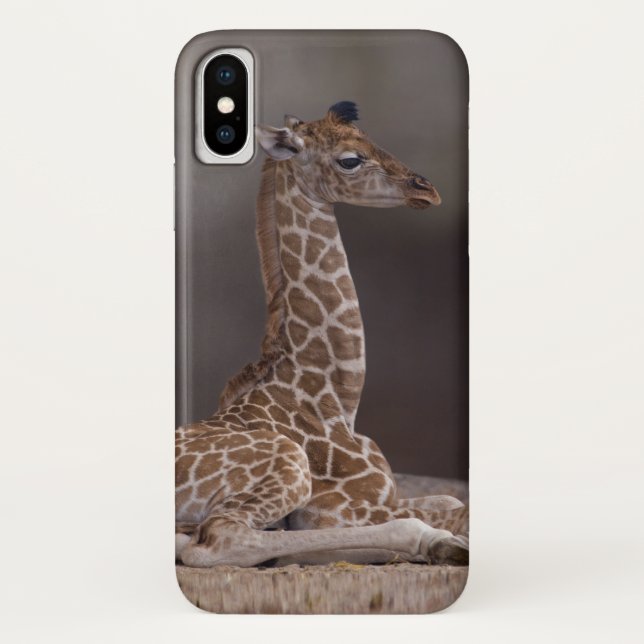 Baby Giraffe iPhone X Case (Back)