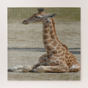 Baby Giraffe Jigsaw Puzzle