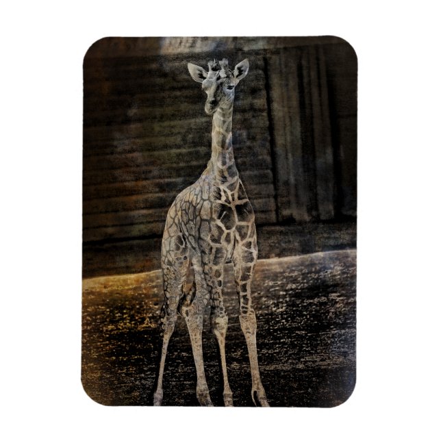 Baby Giraffe Magnet (Vertical)