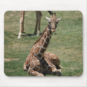 Baby Giraffe Mouse Mat