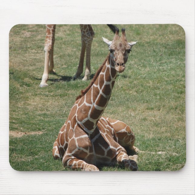 Baby Giraffe Mouse Mat (Front)