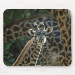 Baby Giraffe Mouse Mat
