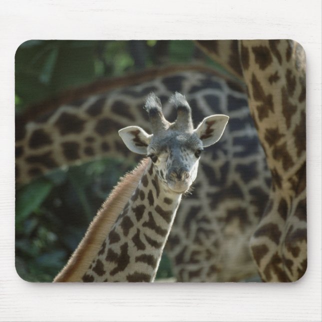 Baby Giraffe Mouse Mat (Front)