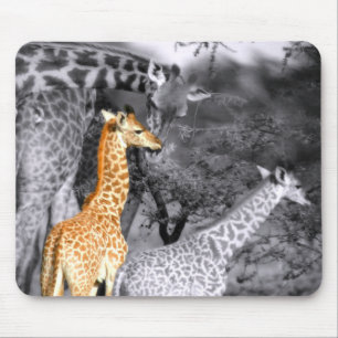Baby Giraffe Mouse Mat