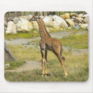 Baby Giraffe Mouse Mat