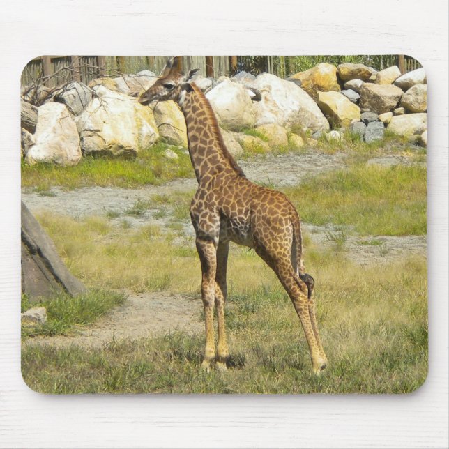 Baby Giraffe Mouse Mat (Front)