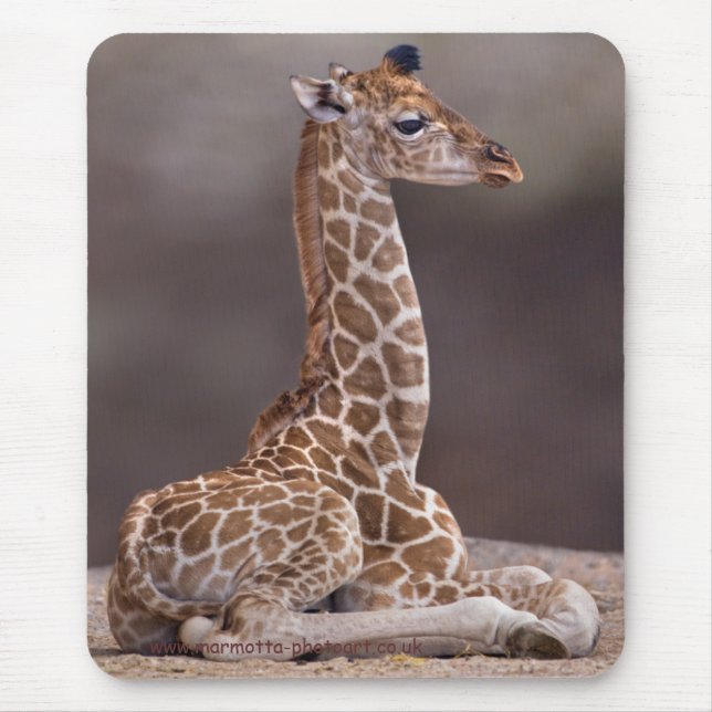Baby Giraffe Mousemat (Front)