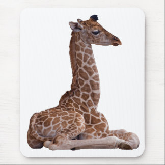 Baby Giraffe Mousemat (White)