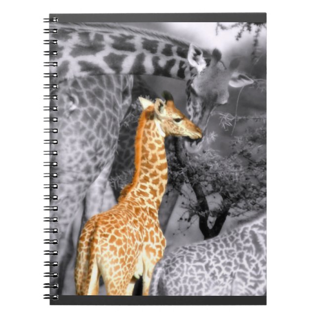 Baby Giraffe Notebook (Front)