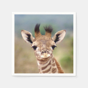Baby giraffe picture, Kenya, Africa Cocktail Napkin