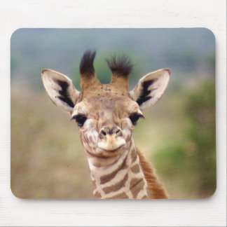 Baby giraffe picture, Kenya, Africa | Mouse Mat