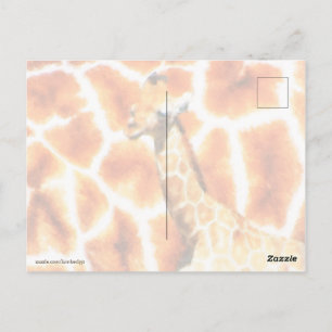 Baby Giraffe Postcard