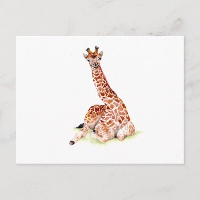 Baby Giraffe Postcard (Front)