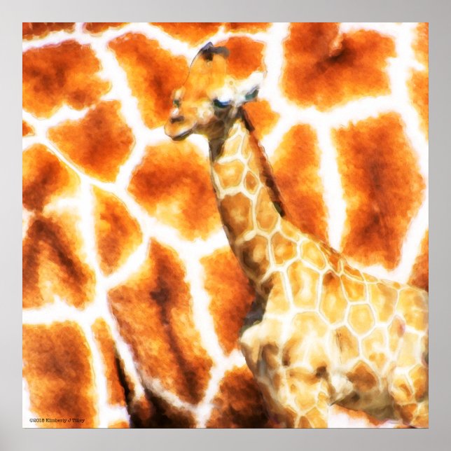 Baby Giraffe Poster (Front)