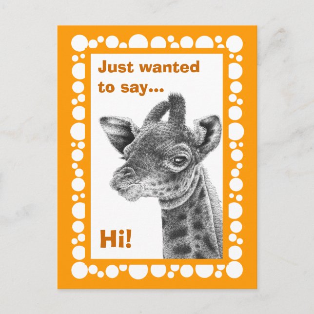 Baby Giraffe Retro Circles Postcard (Front)