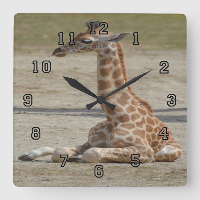 Baby Giraffe Square Wall Clock (Front)