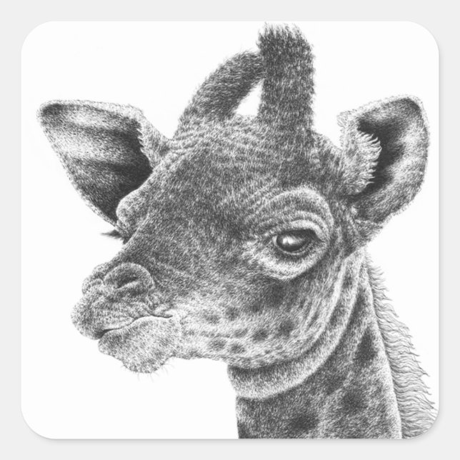 Baby Giraffe Sticker (Front)