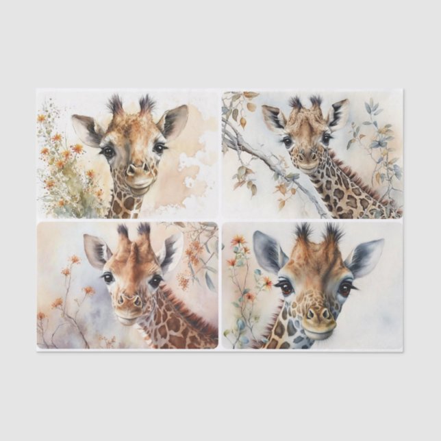 Baby Giraffes Tissue Paper (Front)