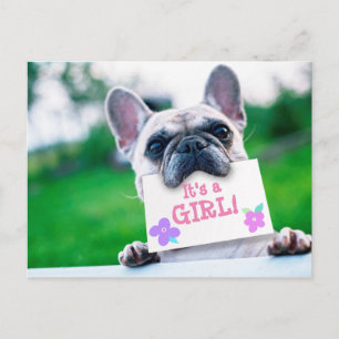 Baby Girl Announcement With Dog Custom