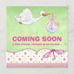 Baby Girl Bird Delivery Pregnancy Announcement