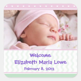 Baby Girl Birth Announcement Sticker