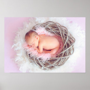 Baby Girl in Her Nest Poster