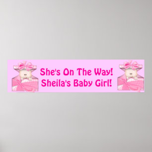 Baby Girl Shower Party Banner Poster
