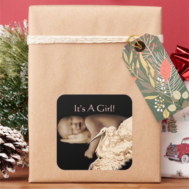 Baby Girl Stickers with your baby photo (Holiday)