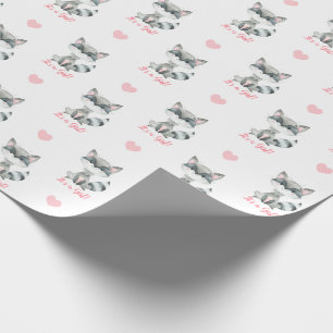 Baby Girl Wrapping Paper Pink Racoon It's A Girl