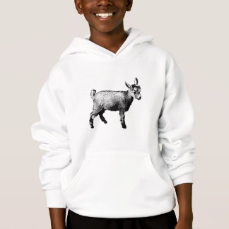 Baby Goat