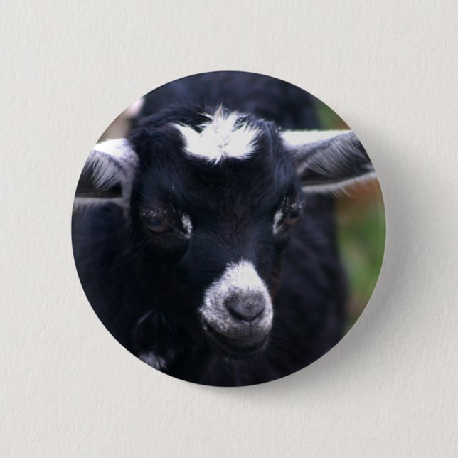 Baby Goat 6 Cm Round Badge (Front)