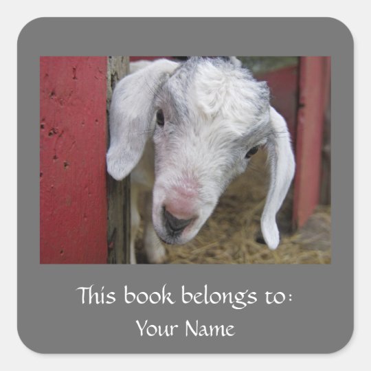 Baby Goat Bookplate Square Sticker