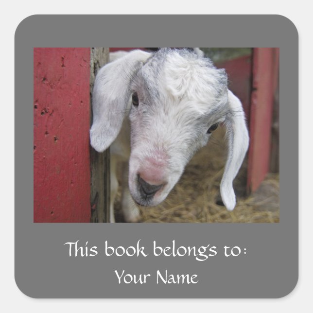 Baby Goat Bookplate Square Sticker (Front)