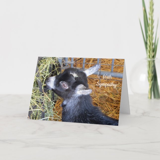 Baby Goat Hay Sympathy Card (Front)