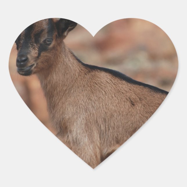Baby Goat Heart Sticker (Front)