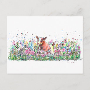 Baby Goat in Flower Field Postcard