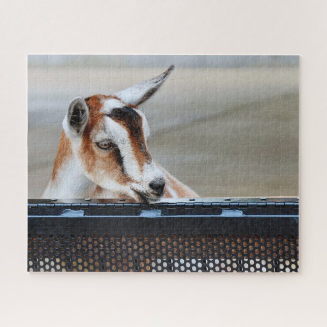 Baby Goat Jigsaw Puzzle (Horizontal)