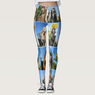 Baby Goat Leggings
