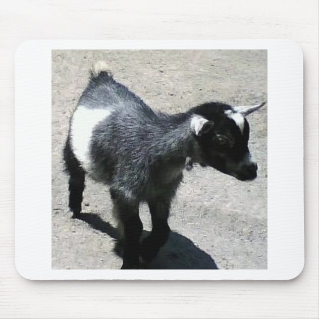 Baby Goat Mouse Mat (Front)