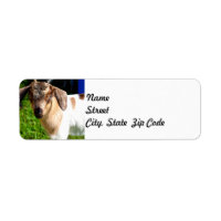 Baby Goat - Return Address Label