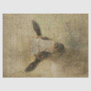 Baby Goat Socke Tissue Paper