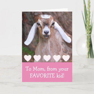 Baby Goat "To Mum" Valentine's Day  Holiday Card