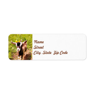 Baby Goat with Flowers - Return Address Label